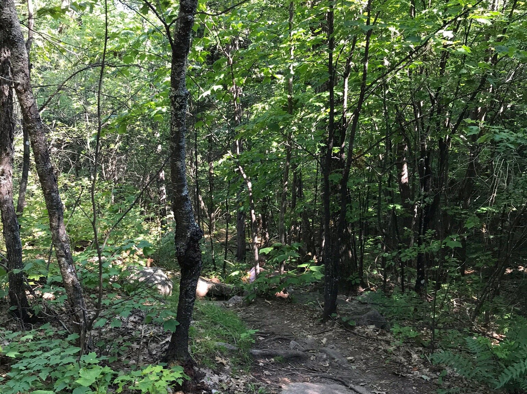 Boulder Loop Trailhead-Albany必去景点