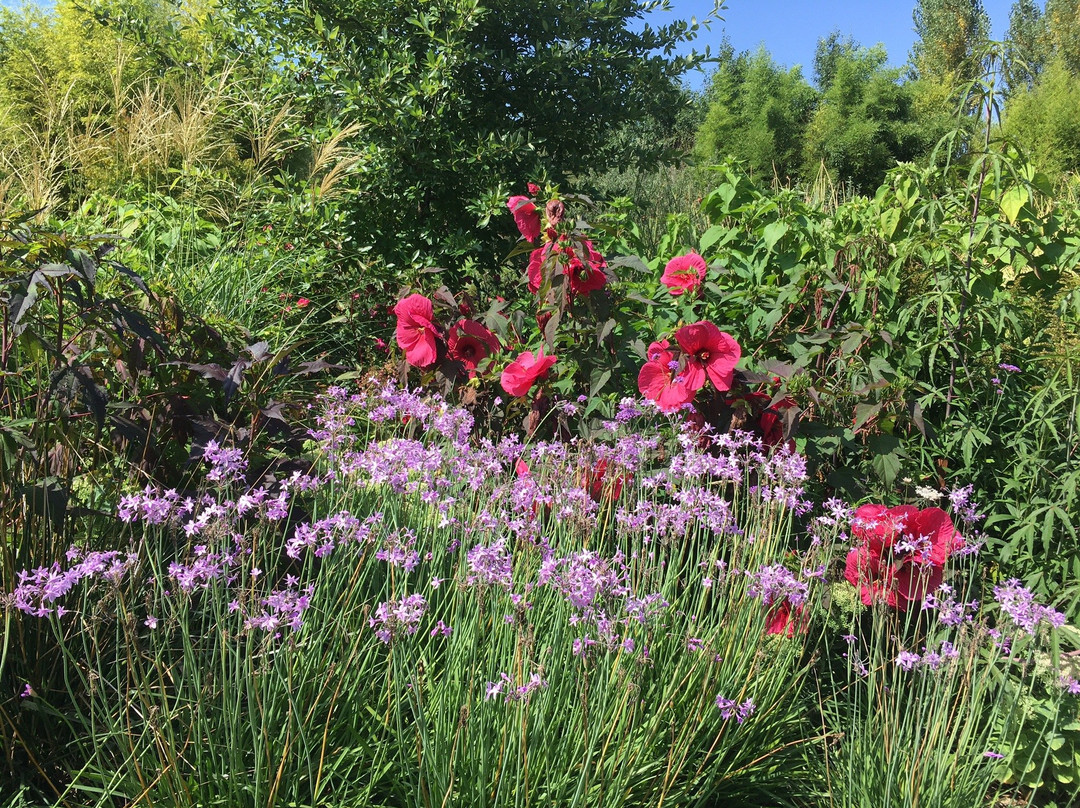 Les Jardins de la Poterie Hillen景点图片