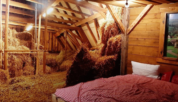 Holzschuh's Schwarzwaldhotel主图