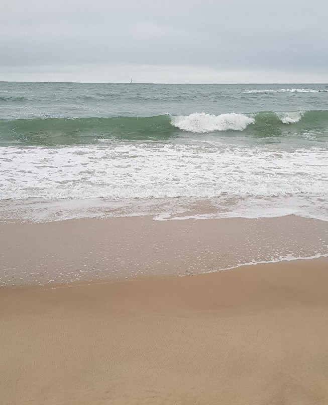 Plage Centrale景点图片