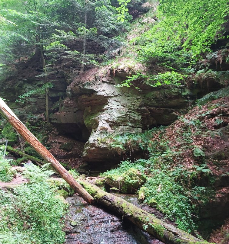 Wolfsschlucht-Zwingenberg必去景点