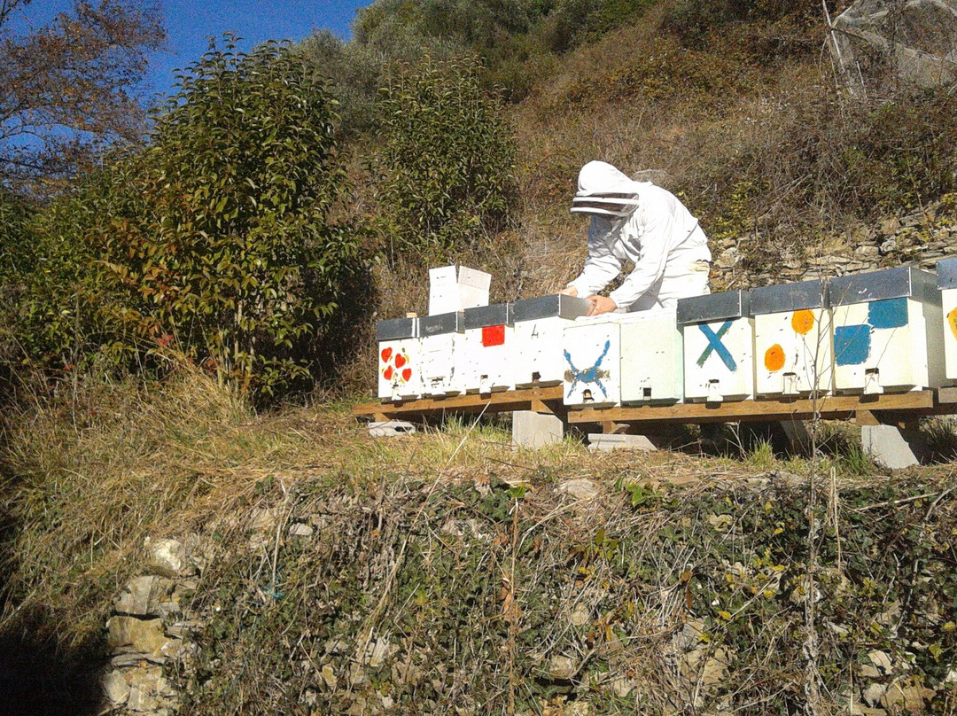 L'Ape Golosina-Narzole必去景点