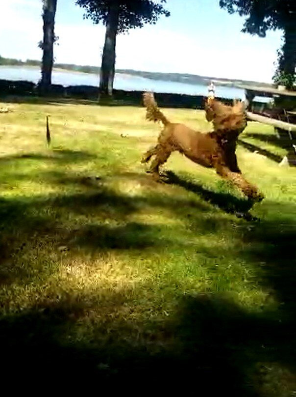 Best Western Normanton Park Hotel主图