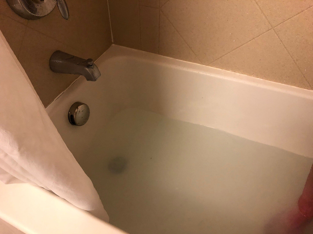 莱福希尔顿恒庭旅馆&套房酒店主图