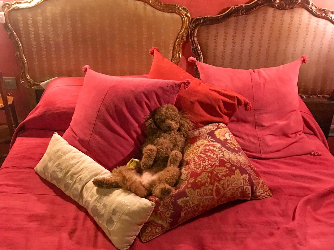 La Locanda Al Cappello主图