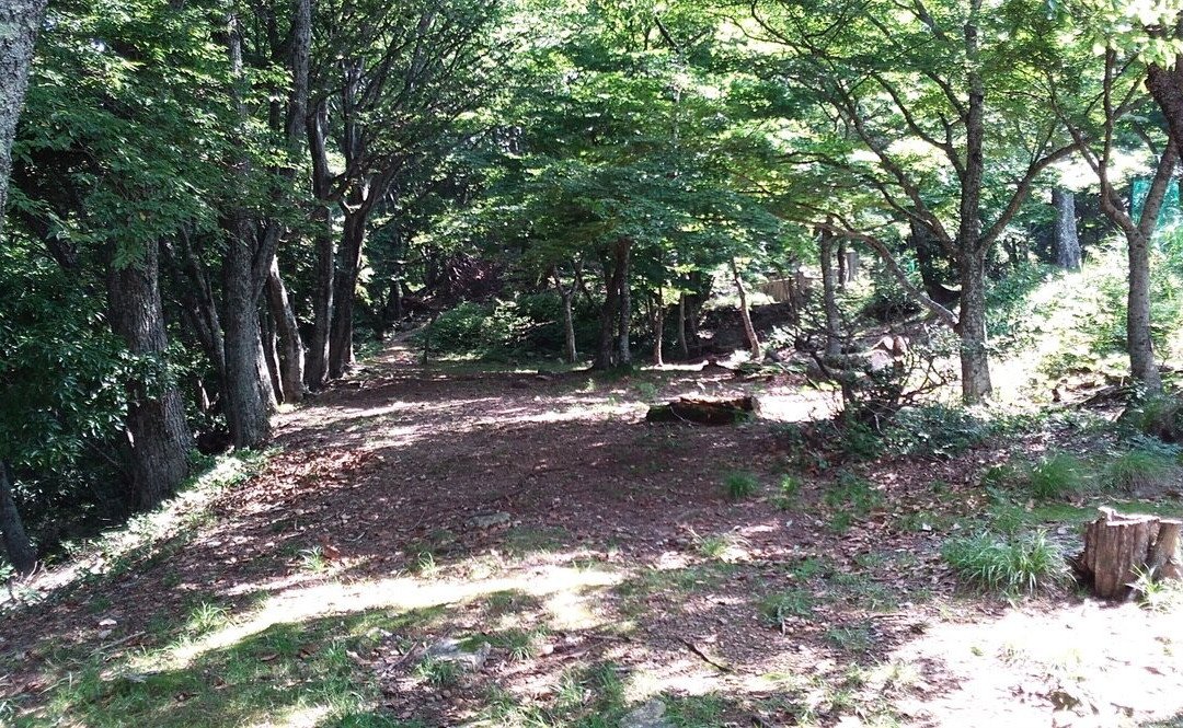 Odani Castle-长滨市必去景点