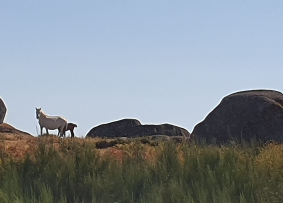 Foxtrot Aventura-Revelhe必去景点