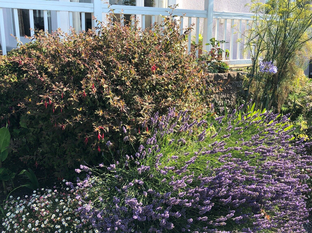 Dunkery Beacon Country House主图