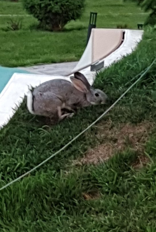 Ramada Hotel & Suites by Wyndham Novosibirsk Zhukovka主图