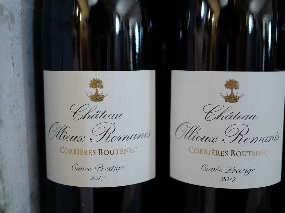 Château Ollieux Romanis景点图片