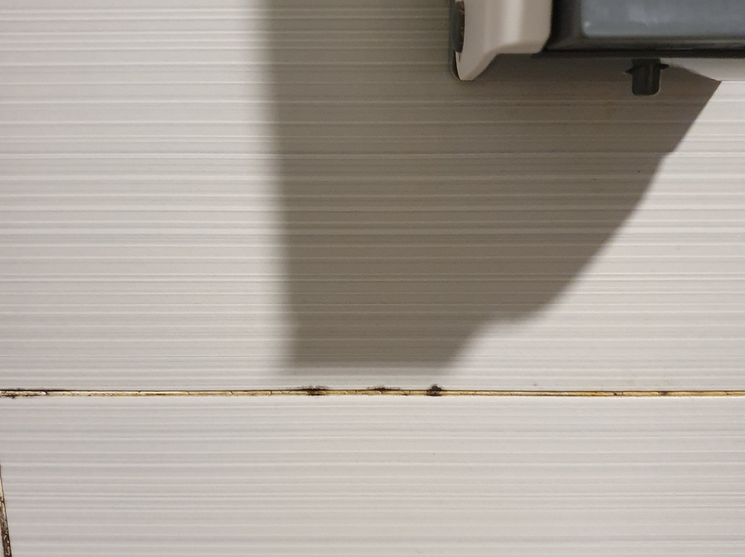 帕雷斯酒店主图