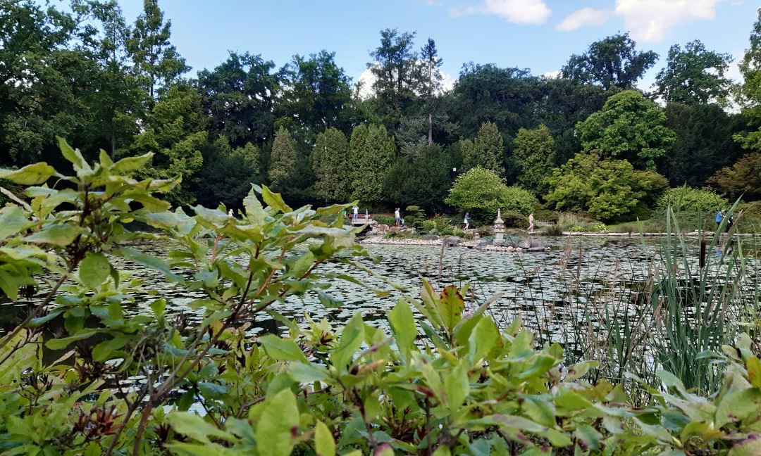 Japanese Garden - Szczytnicki Park景点图片