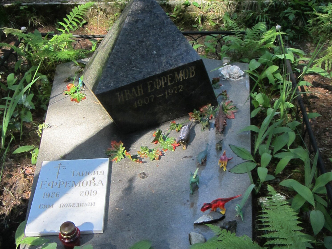 Komarovo Cemetery景点图片
