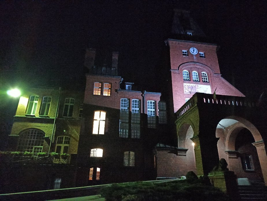 Pałac w Kobylnikach