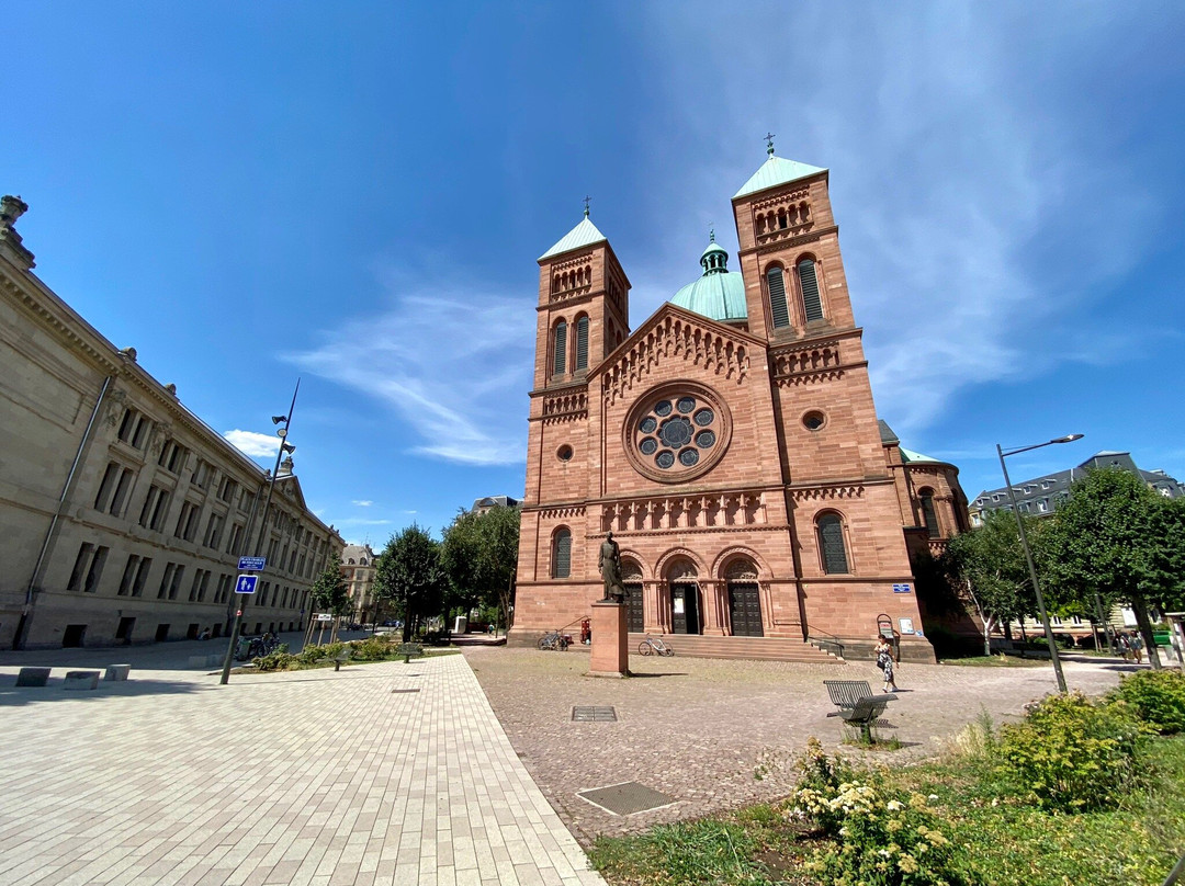 Petit Train Touristique de Strasbourg景点图片