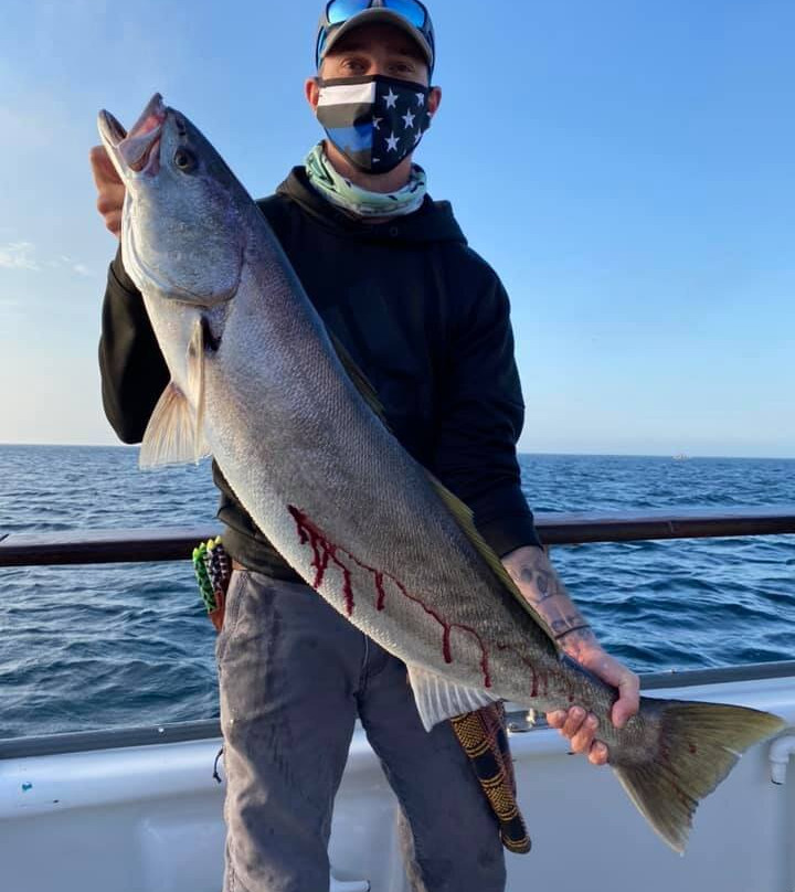 Channel Islands Sportfishing-奥克斯纳德必去景点