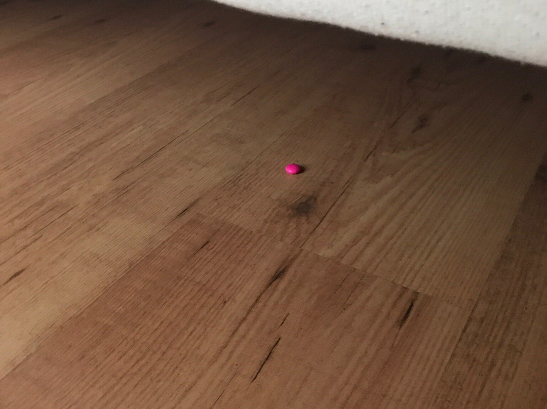 女王之家酒店主图