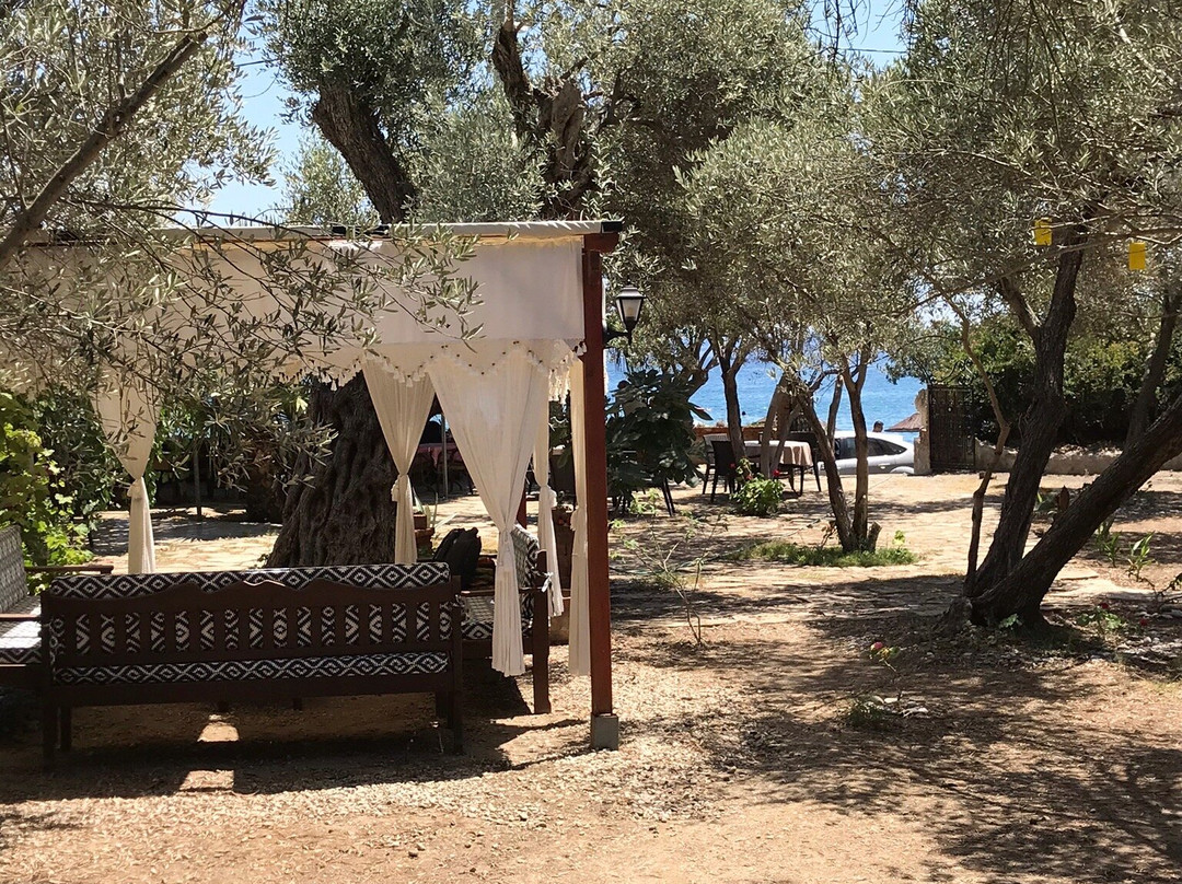 Datca Masal Gibi Plaj&Restaurant主图