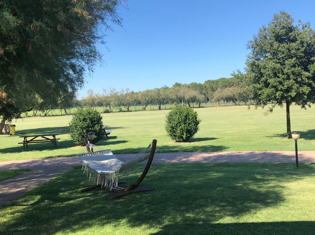 Hotel Club Spiaggia Romea Village & Residence主图