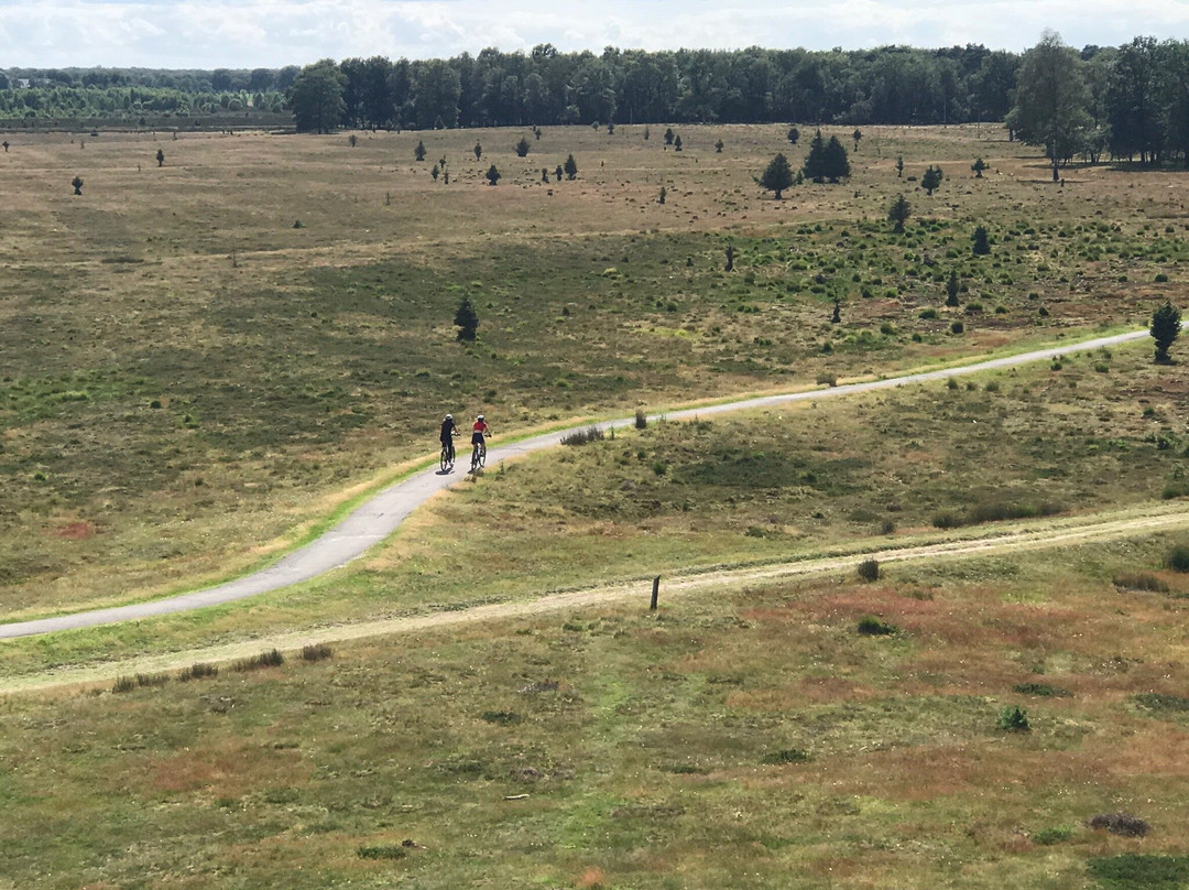 Nationaal Park Drents-Friese Wold-Appelscha必去景点