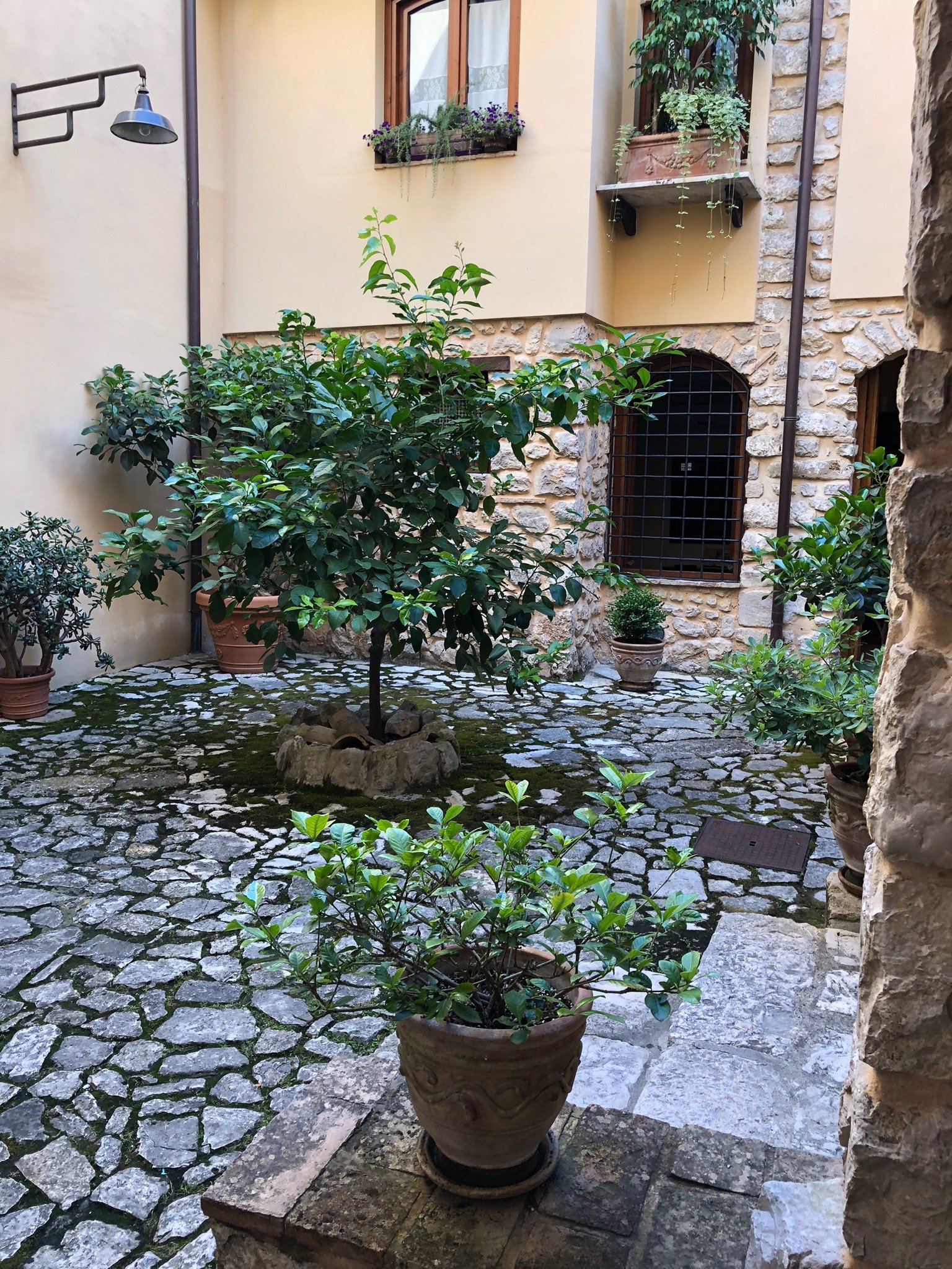 Bed and Breakfast Mblo-官方