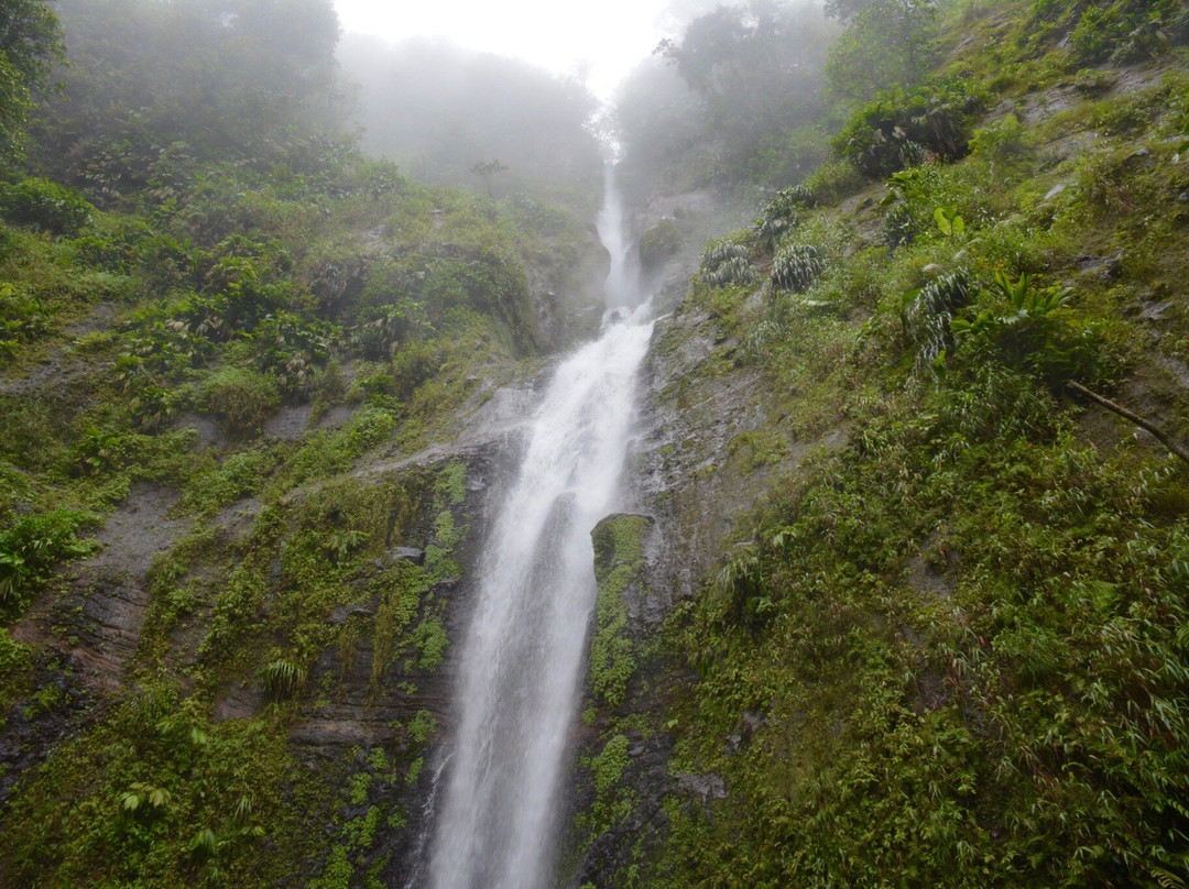 Trace des chutes Moreau-Goyave必去景点