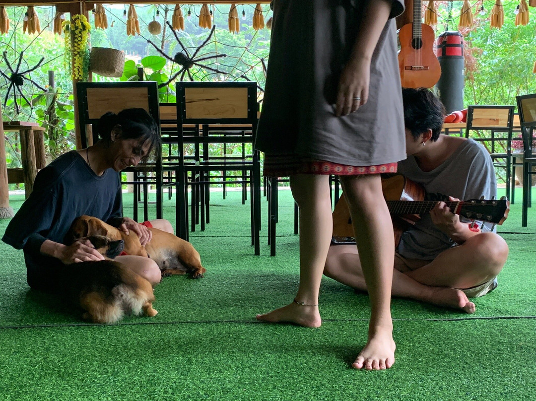 Aladdin Homestay Dong Van主图