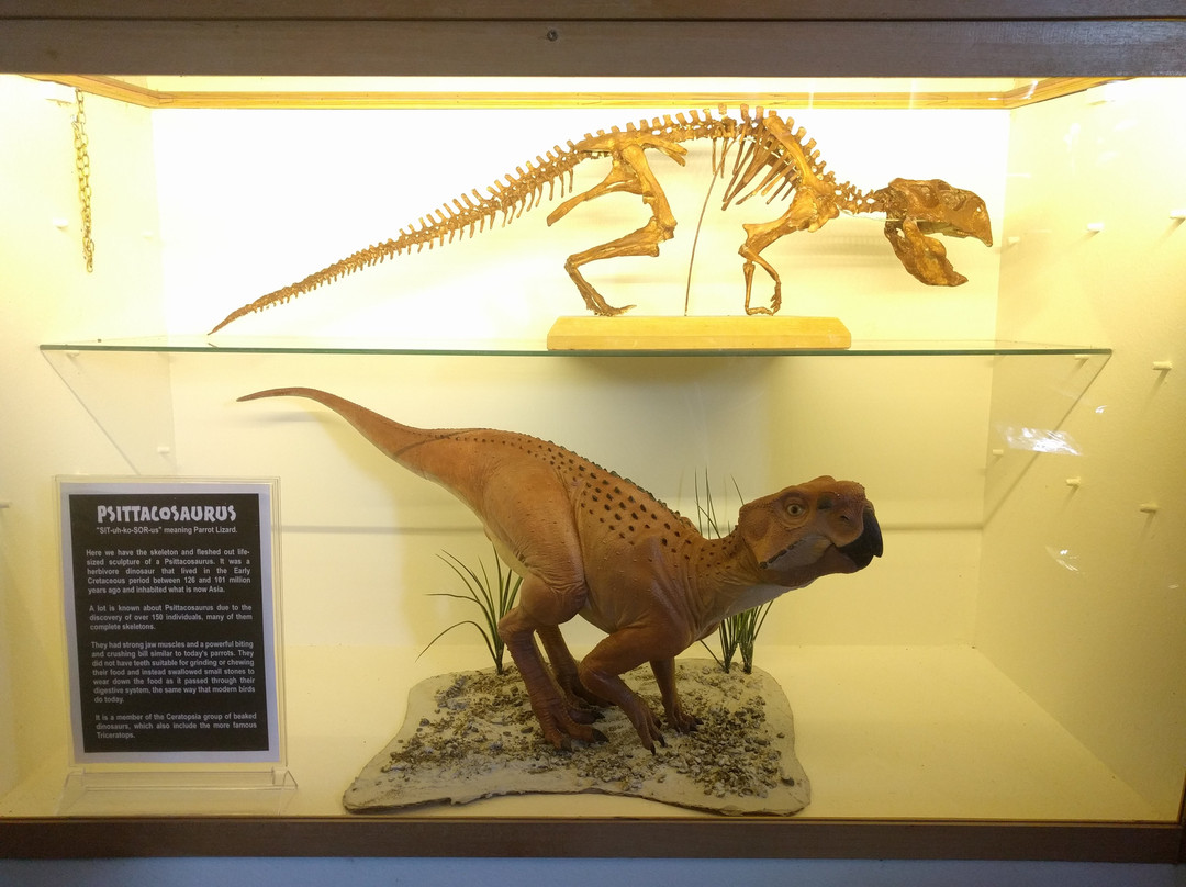 Dinosaur House-Raetihi必去景点