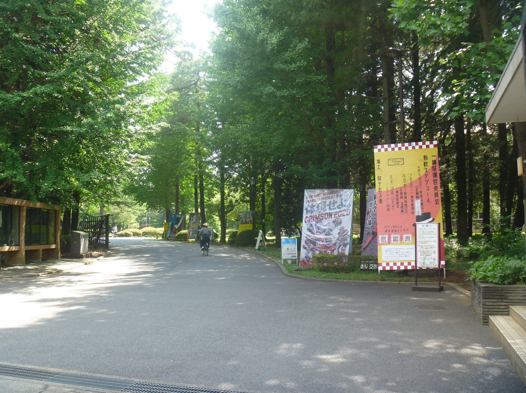 Hitotsubashi University Kunitachi Campus景点图片