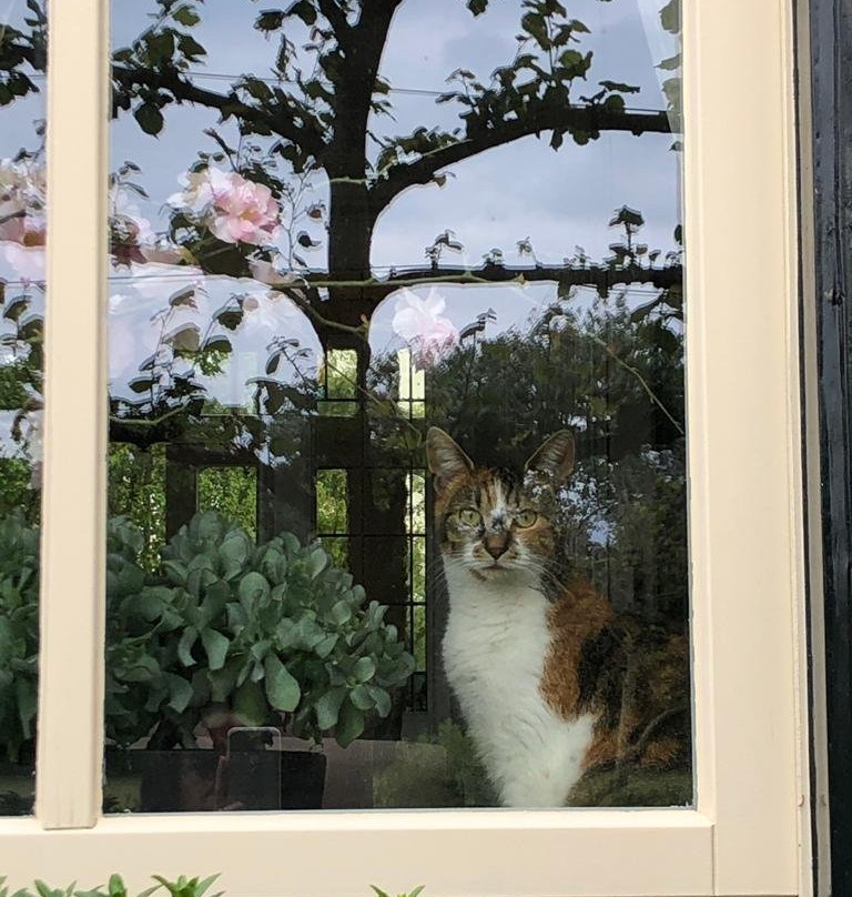 Bed and Breakfast Pastorie Stella Marie主图