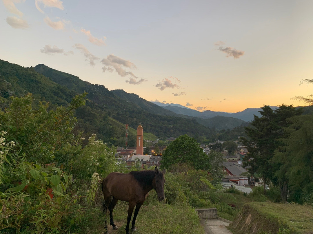 Experiencia Cafetera-Pijao必去景点