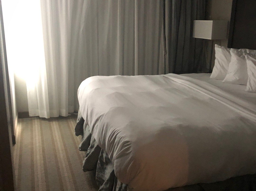 Country Inn & Suites by Radisson, Bemidji, MN主图