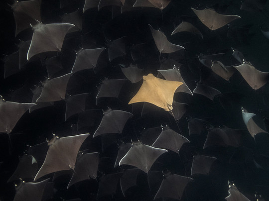 Baja My Love-圣何塞卡波必去景点