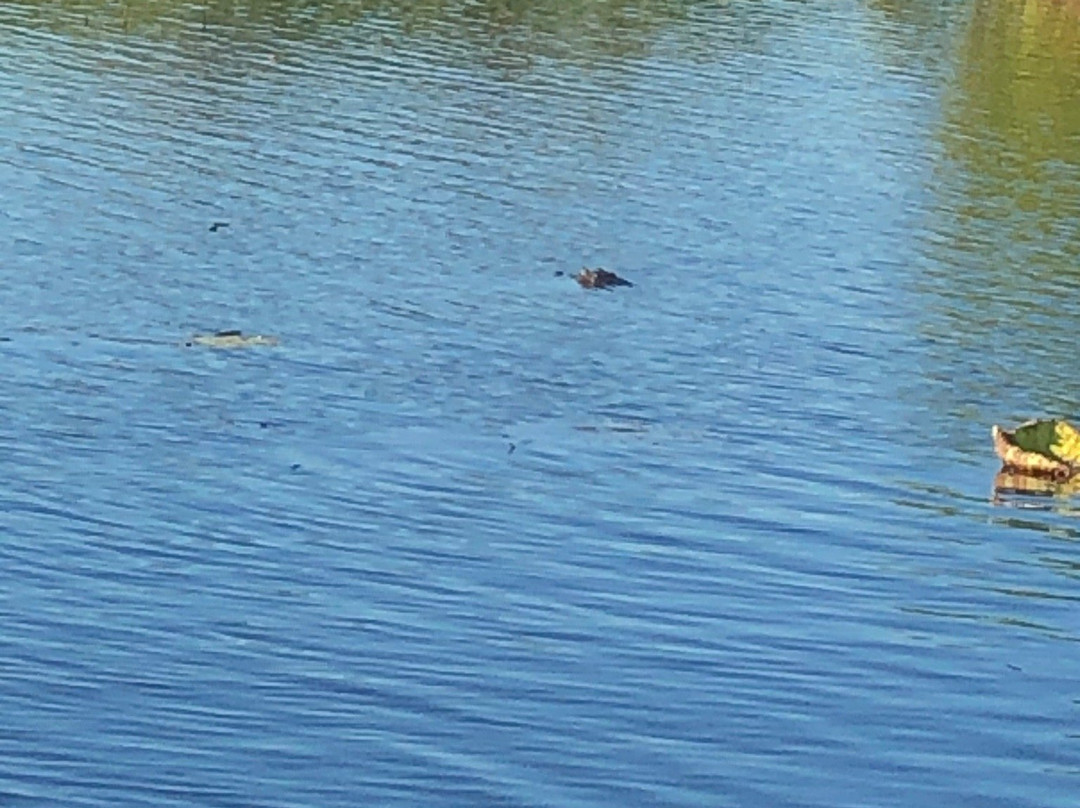 Corroboree Billabong-Marrakai必去景点