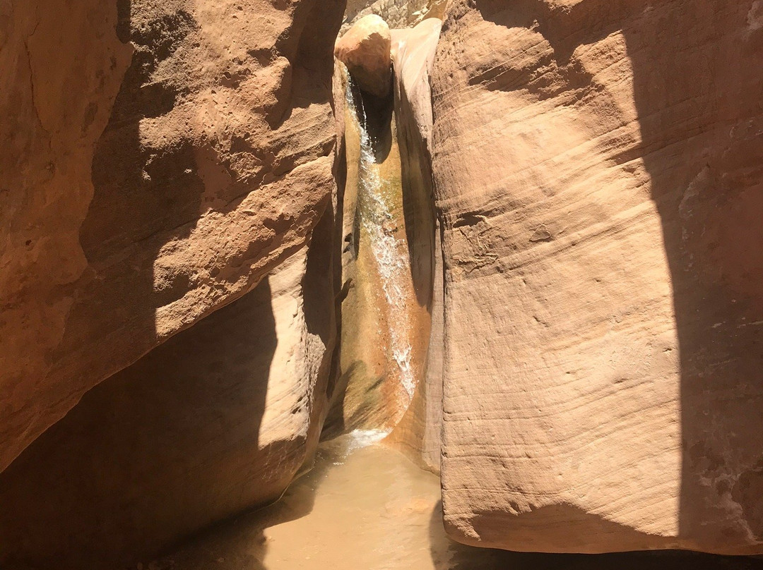 Willis Creek Slot Canyon-Cannonville必去景点