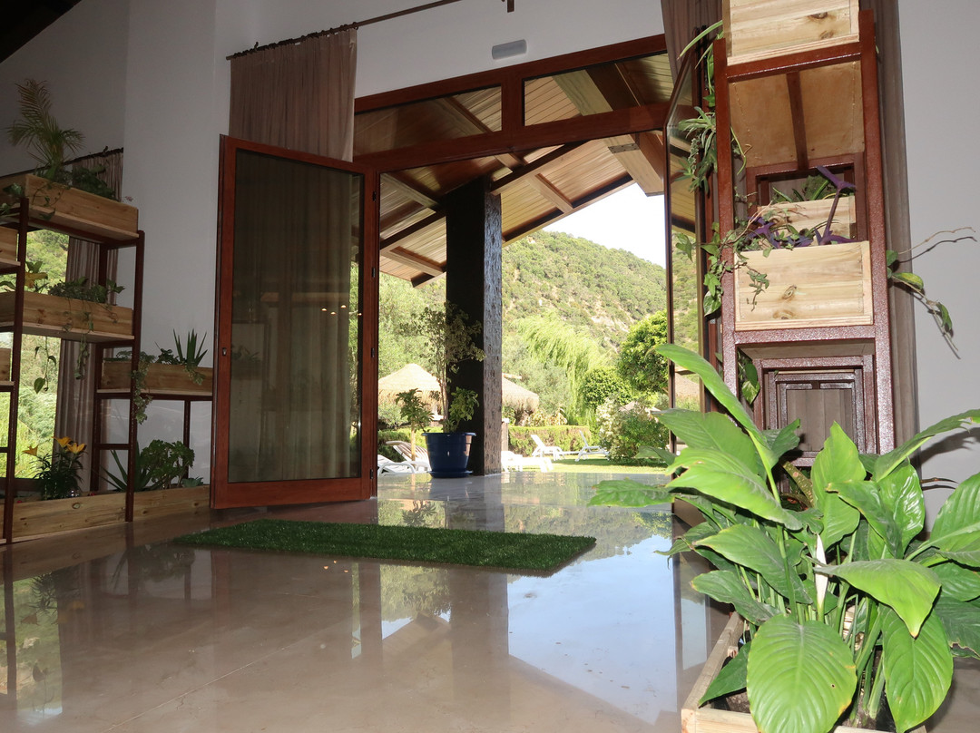 Hotel El Paso主图
