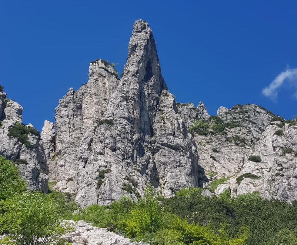 Giro delle Malghe – Campogrosso景点图片