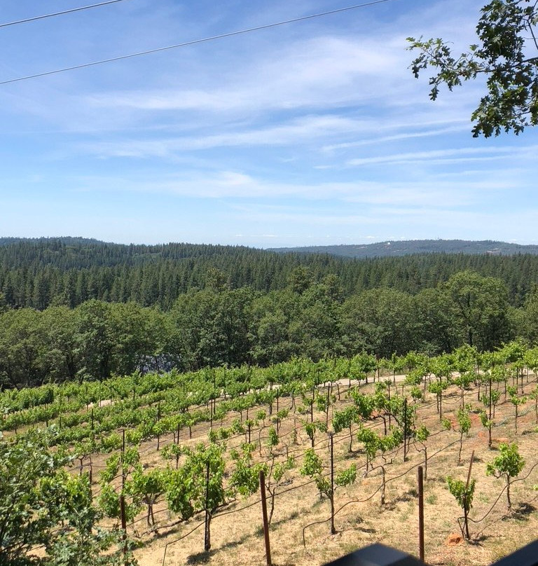 Lucchesi Vineyards Tasting Room景点图片