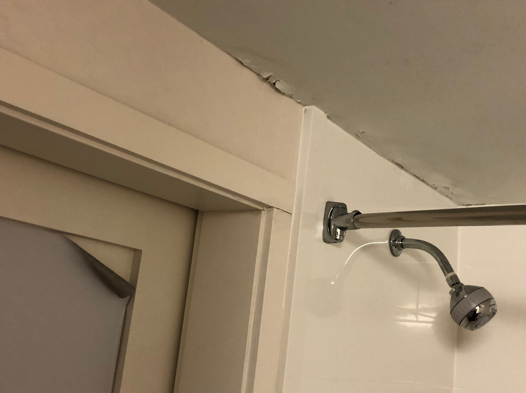 Hampton Inn Harrisonburg - University主图