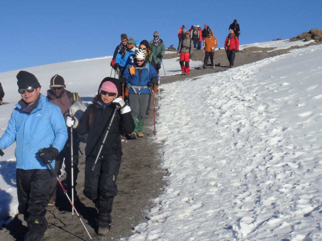 Safarika Africa Ltd-阿鲁沙必去景点