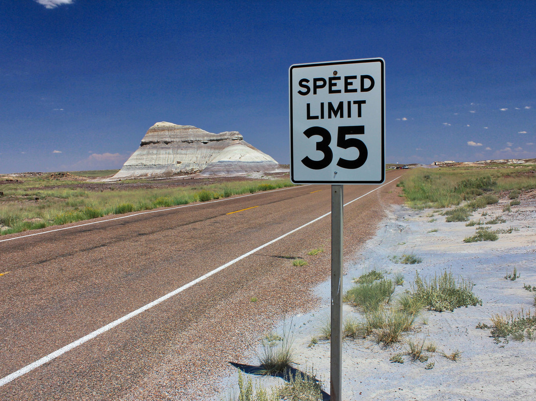 Martha's Butte-石化林国家公园必去景点