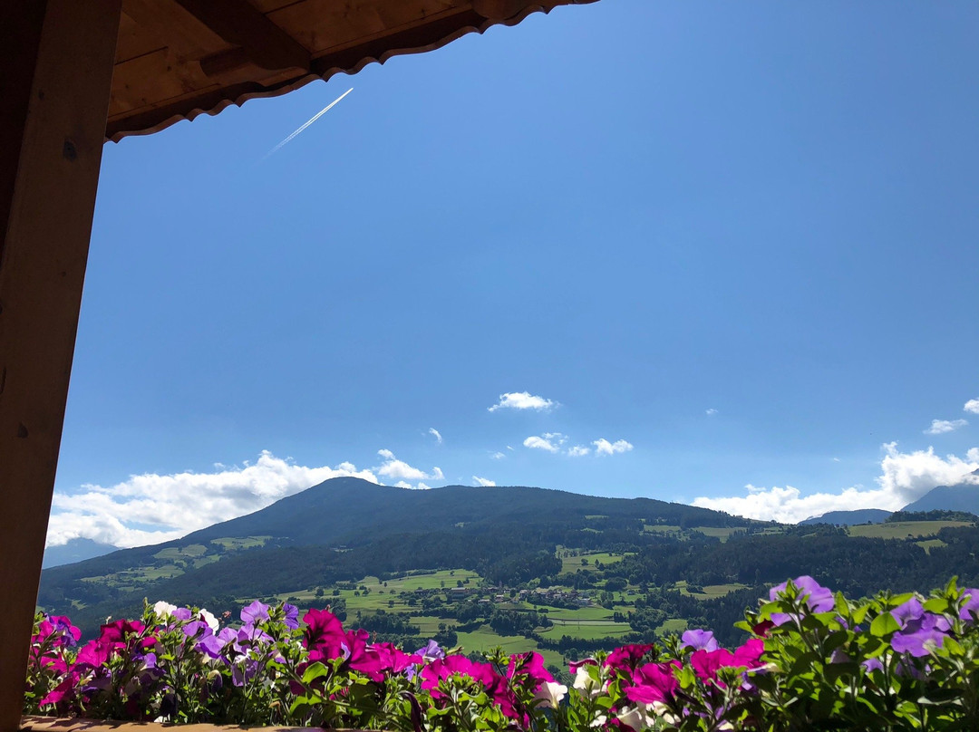 Pension-Residence Gasser主图