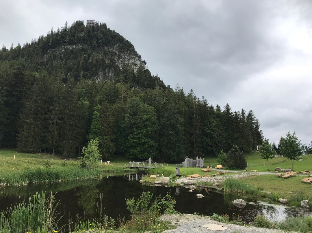 波尔格施拉桑格尔阿尔卑斯山酒店主图