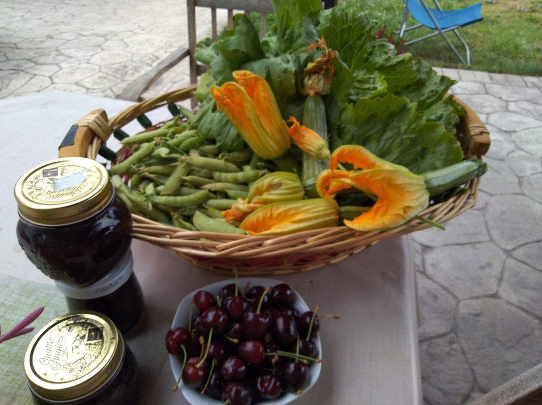 Agriturismo Allo Scoglio - Azienda Agricola主图