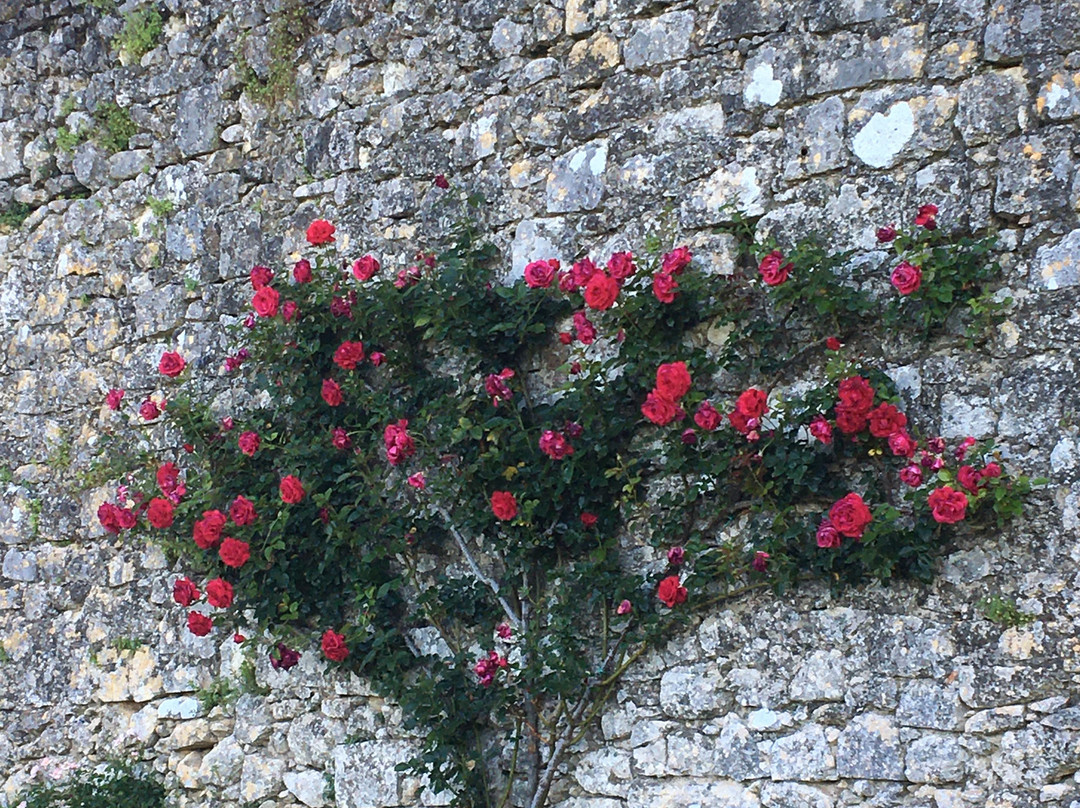 Église Sainte-Croix