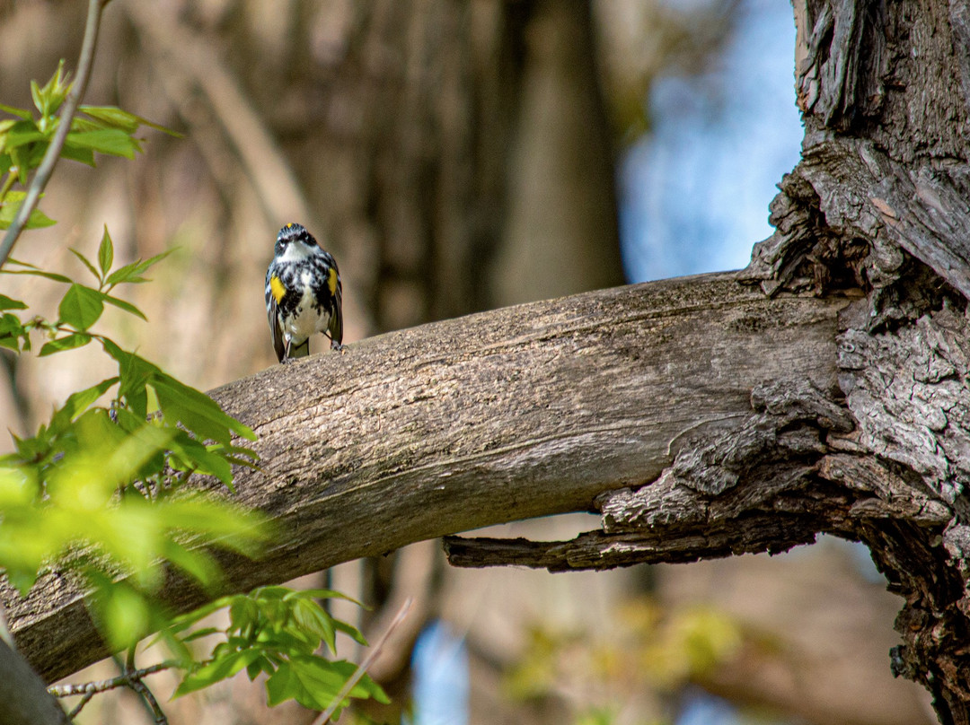 Amherst State Park-艾姆赫斯特必去景点