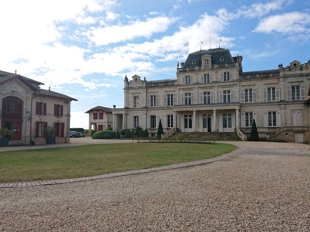 Bacchus Tours-波尔多必去景点
