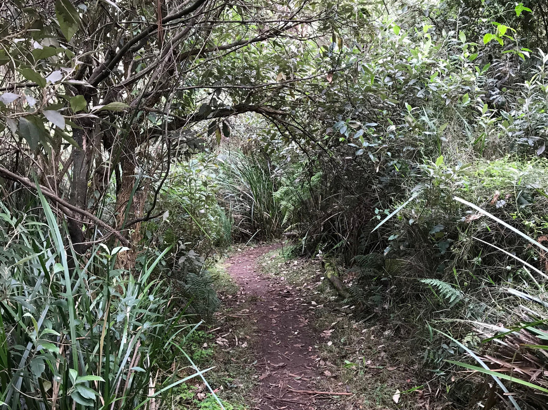 Gembrook Park-Gembrook必去景点