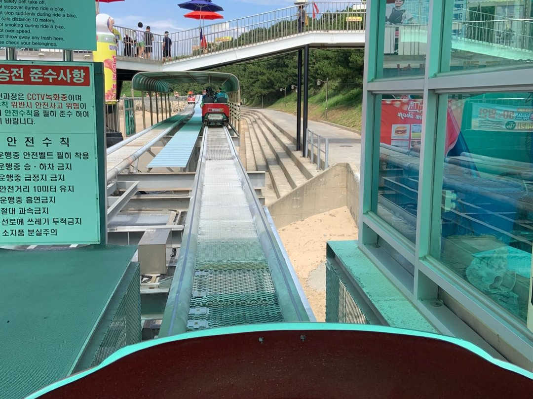 Dacheon Beach-保宁市必去景点