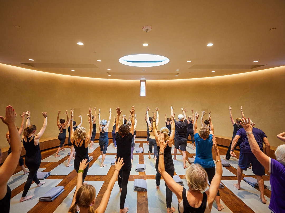 True Nature Healing Arts-卡本代尔必去景点